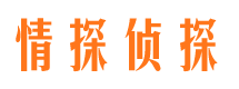 怀集市私家侦探